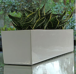 Western Suburbs Indoor Plant Hire Western Suburbs Indoor Plant Hire